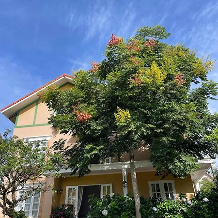 Bich Dao Boutique - Dalat Otel Dış mekan fotoğraf