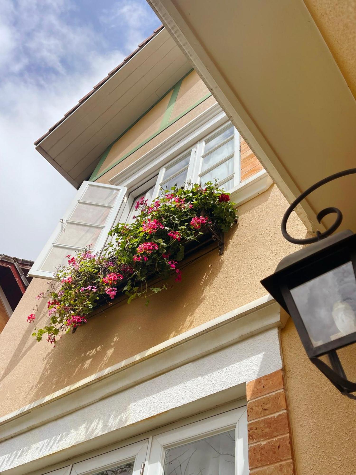 Bich Dao Boutique - Dalat Otel Dış mekan fotoğraf