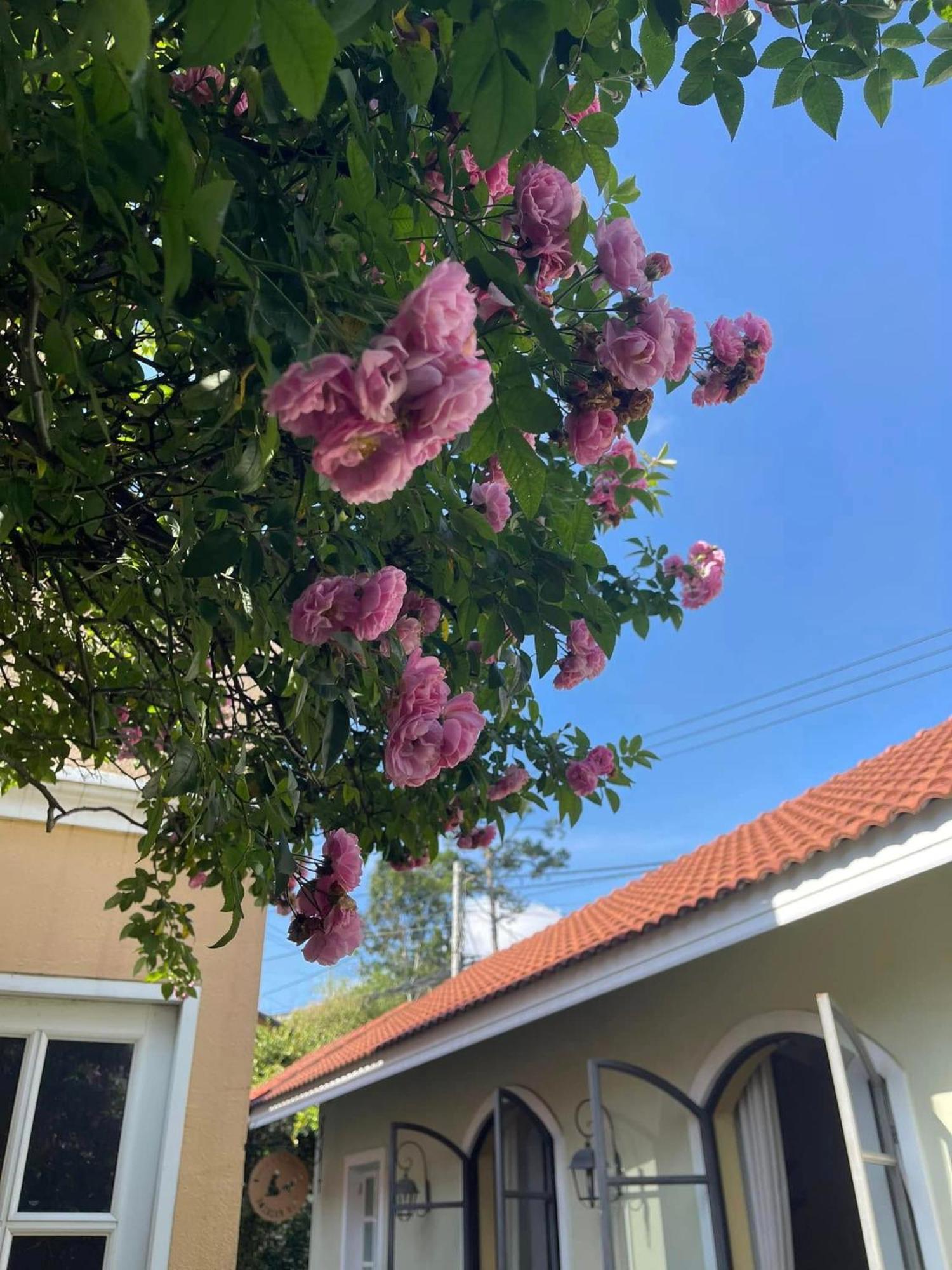 Bich Dao Boutique - Dalat Otel Dış mekan fotoğraf