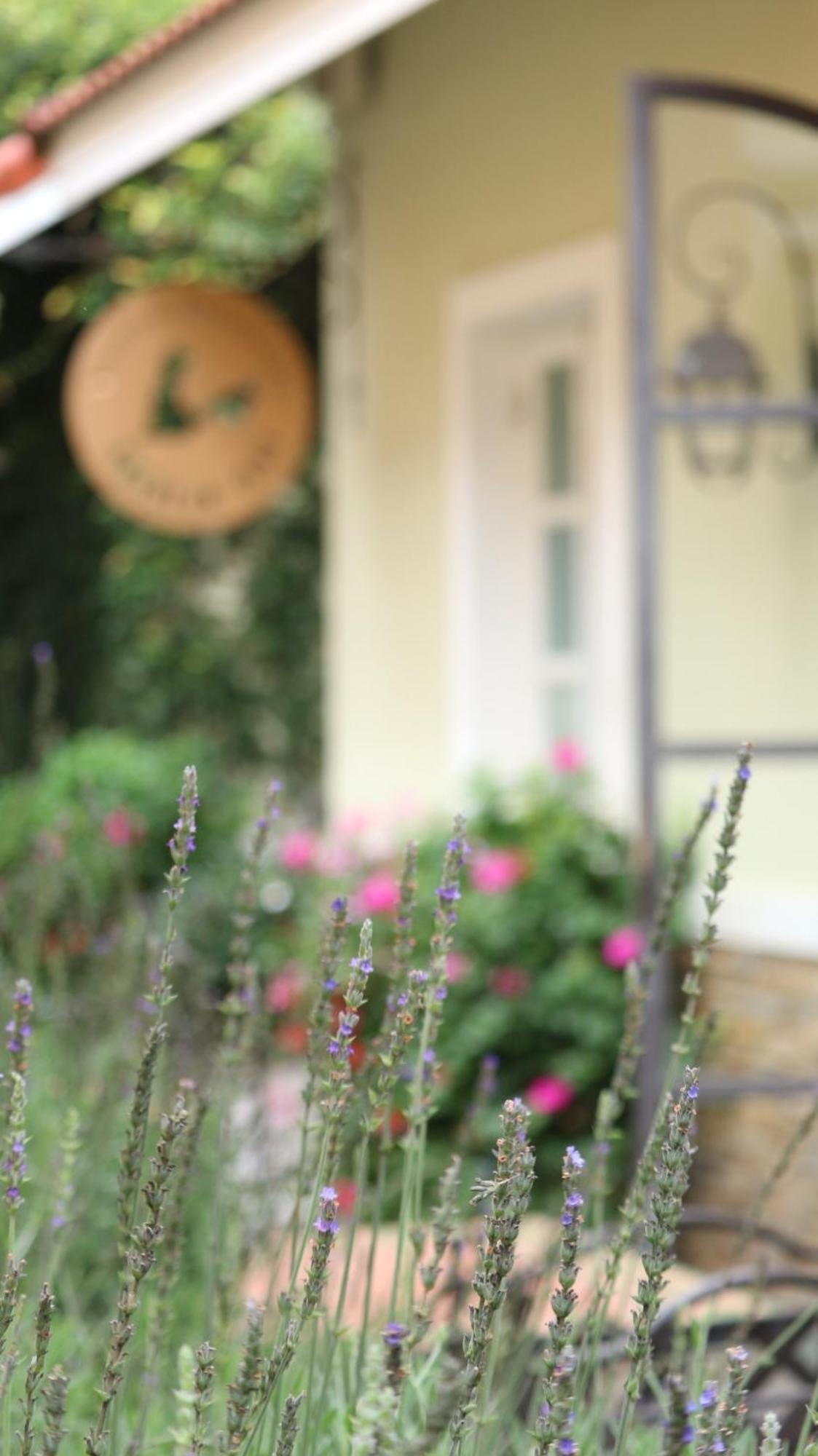 Bich Dao Boutique - Dalat Otel Dış mekan fotoğraf